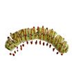 Restaurant Asian Taste 108. Caterpillar Roll Uramaki